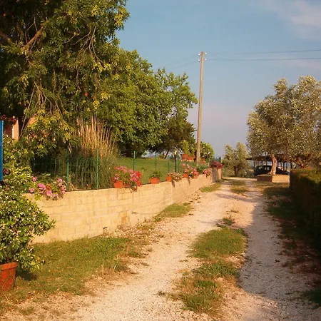 Marruchetone Vecchio Marsiliana